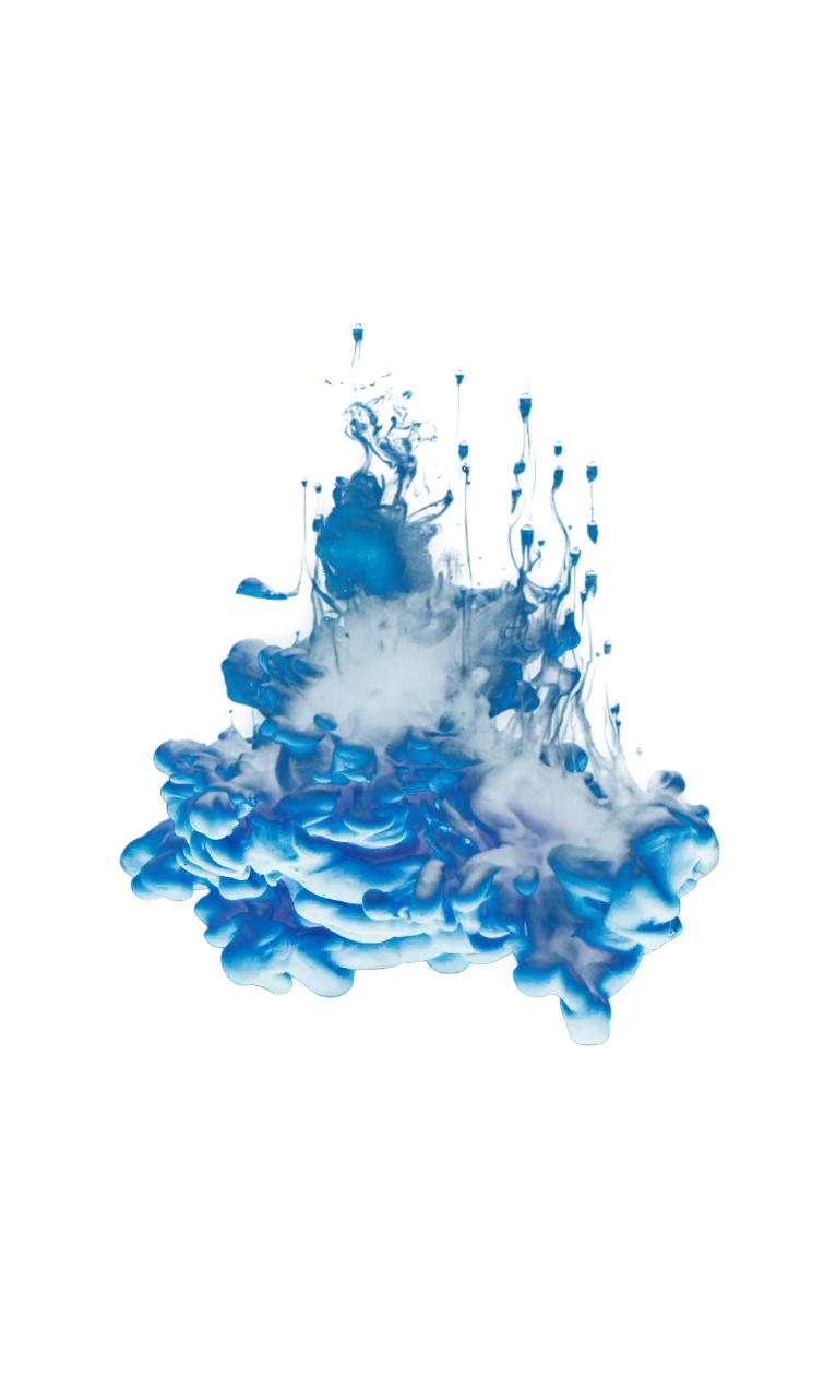 Алгоритм SEO